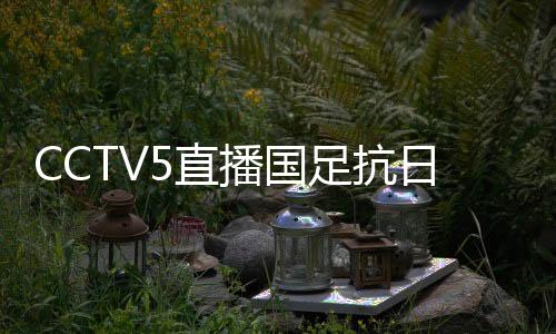 国足是抗日全中国的球迷