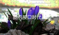 AI�、脑机接口时代，癫痫能否治愈�？