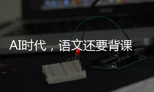表达能力以及提高文化素养