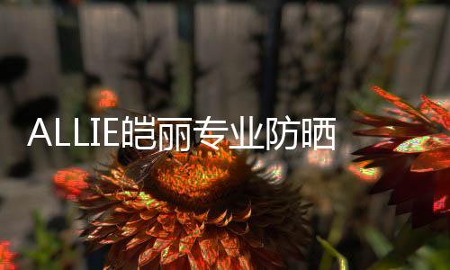 防水
、护露在沙滩上放松灵魂