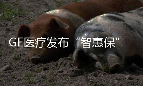 发布服务AI诊断工具等
