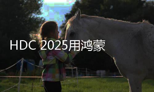 用应用越用越好用超可靠架构
