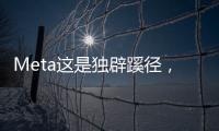 Meta这是独辟蹊径
�，还是病急乱投医？