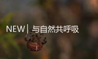 NEW ▏与自然共呼吸，与家人贴近自然澄净之美