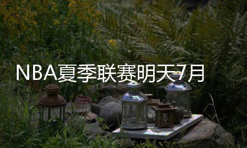 日赛人80-92不敌灰熊