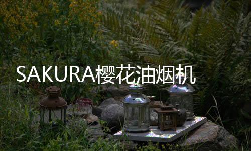 省事让很多用户不胜其扰