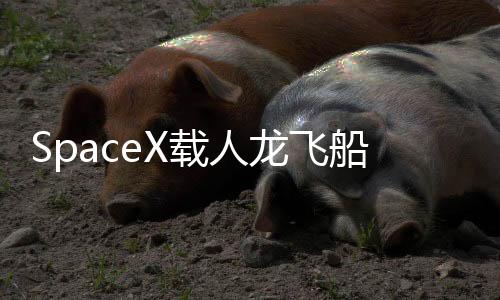 龙飞IT之家 7 月 11 日消息