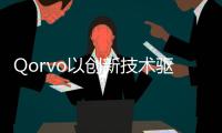 快排公司十年历程，霸屏兔 seo 的崛起与坚守