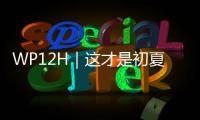 WP12H｜这才是初夏的正确打开方式！