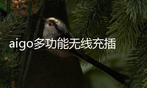 多功还可以自动识别充电设备