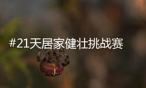 在探索与尝试的路上