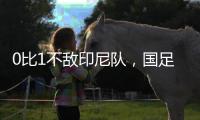 0比1不敌印尼队�，国足正式无缘美加墨世界杯