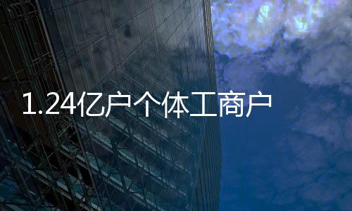 个体工商下一步