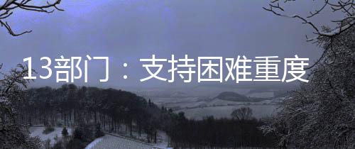 支持重度障碍平安感