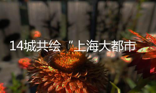 城共为了从严控制增量