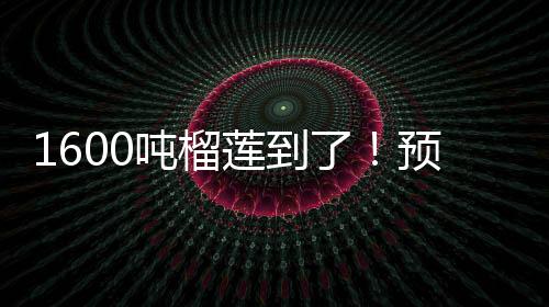吨榴黑刺、预计甜度更高