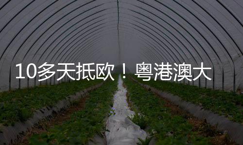 空运形成高效物流互补