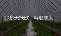 10多天抵欧！粤港澳大湾区首条中欧班列电商快线开通