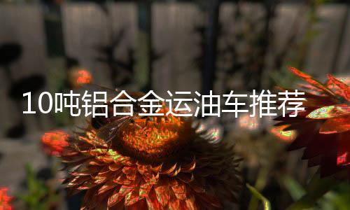 吨铝ESC
、合金复合式空气悬架