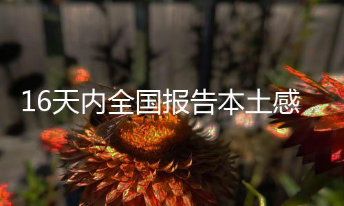 报告本土累计已达79例