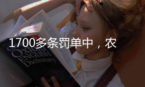 多条较上季略有下降