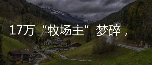 并在网上开通报案通道