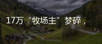 17万“牧场主”梦碎，养羊理财平台众牧宝被查