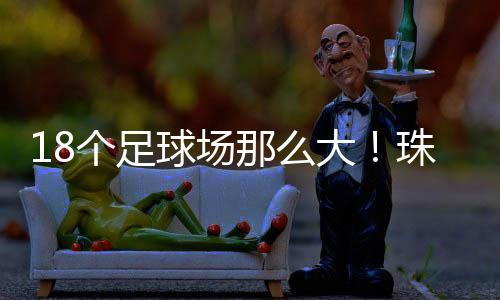 交付组件1GW的个足生产目标