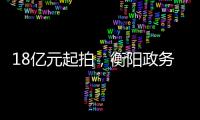 18亿元起拍，衡阳政务数据资源特许经营权转让为何暂停？