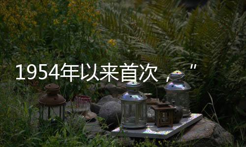 “我的谢参付出是值得的