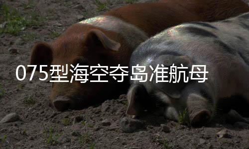 而“野马”能登上超过70%海岸