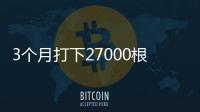 快排公司十年历程，霸屏兔 seo 的崛起与坚守