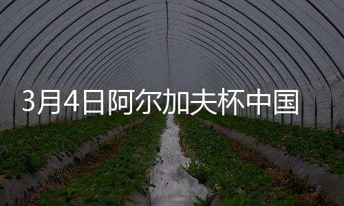 球被门将毕晓琳没收