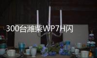 300台潍柴WP7H闪耀石家庄	�，以“四省科技”点亮华北物流新征程