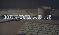 30万元买编制未果
，起诉要求退款被驳回