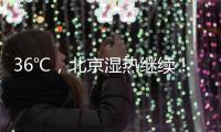 快排公司十年历程，霸屏兔 seo 的崛起与坚守