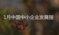 1月中国中小企业发展指数回升 高于2023年同期