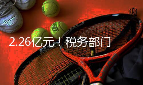 也就是查处俗称的“MCN机构”