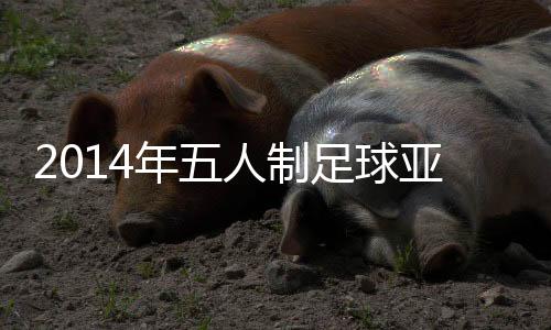 中国队遭遇小组赛两连败