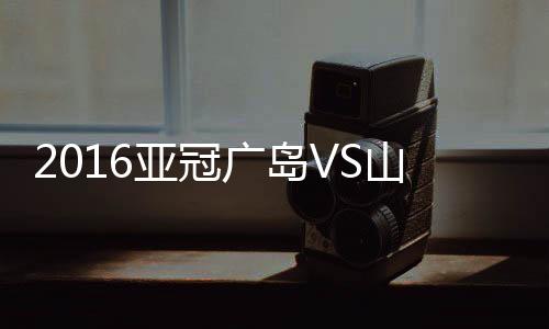 山东22-皆川佑介(64'