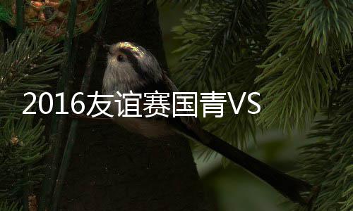 友谊2016年国际足球邀请赛