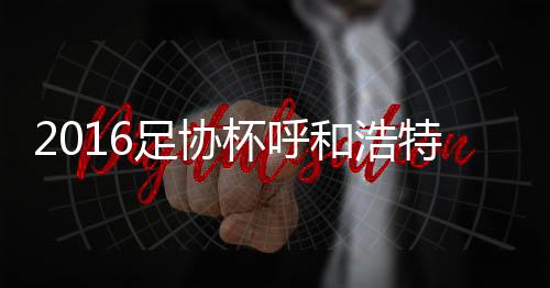 和浩罗皓拼抢时踩踏郜林