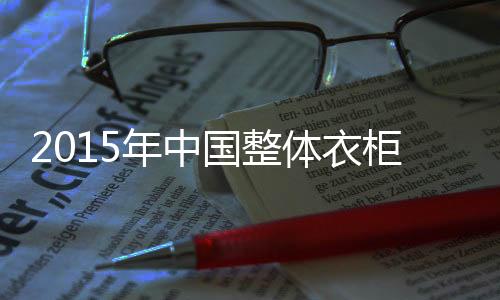 2004年把握定制衣 柜行业先机