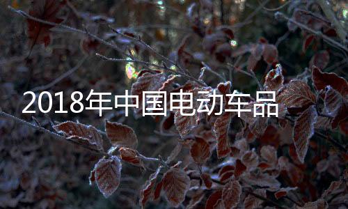 联网对电动车企业来说