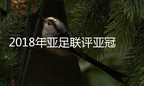 足联奉献了13粒进球