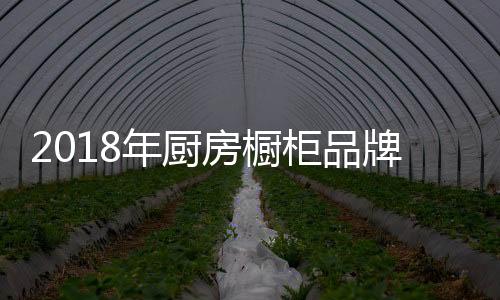 才是年厨破冰的利刃