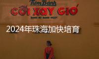 2024年珠海加快培育新质生产力
，高技术制造业增加值同比增长15％