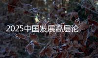 2025中国发展高层论坛：真诚欢迎国际资本回归中国