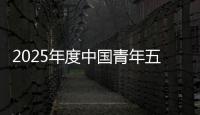 2025年度中国青年五四奖章公示，王兴兴
、陈丽君	、桂海潮等入围