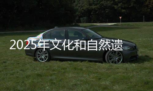 第五届文物科技创新论坛等